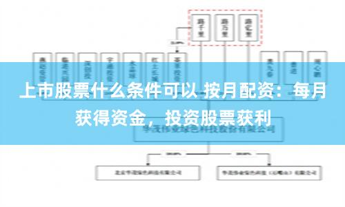 上市股票什么条件可以 按月配资：每月获得资金，投资股票获利